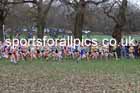 Girls Under-15s 2026 UK CAU Inter Counties Cross Country, Wollaton Park, Nottingham. Photo: David T. Hewitson/Sports for All Pics